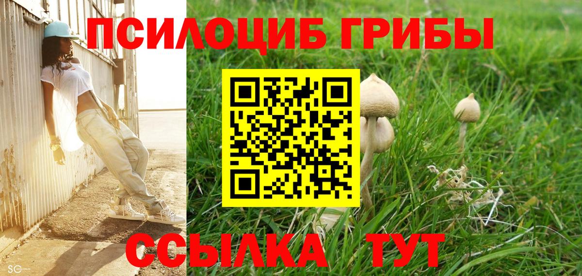 как найти наркотики  Галлюциногенные грибы прущие грибы  Вход с VPN  Калач-на-Дону 